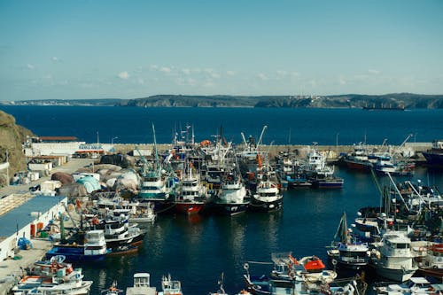Foto stok gratis anggur Portugis, fotografi udara, kapal nelayan