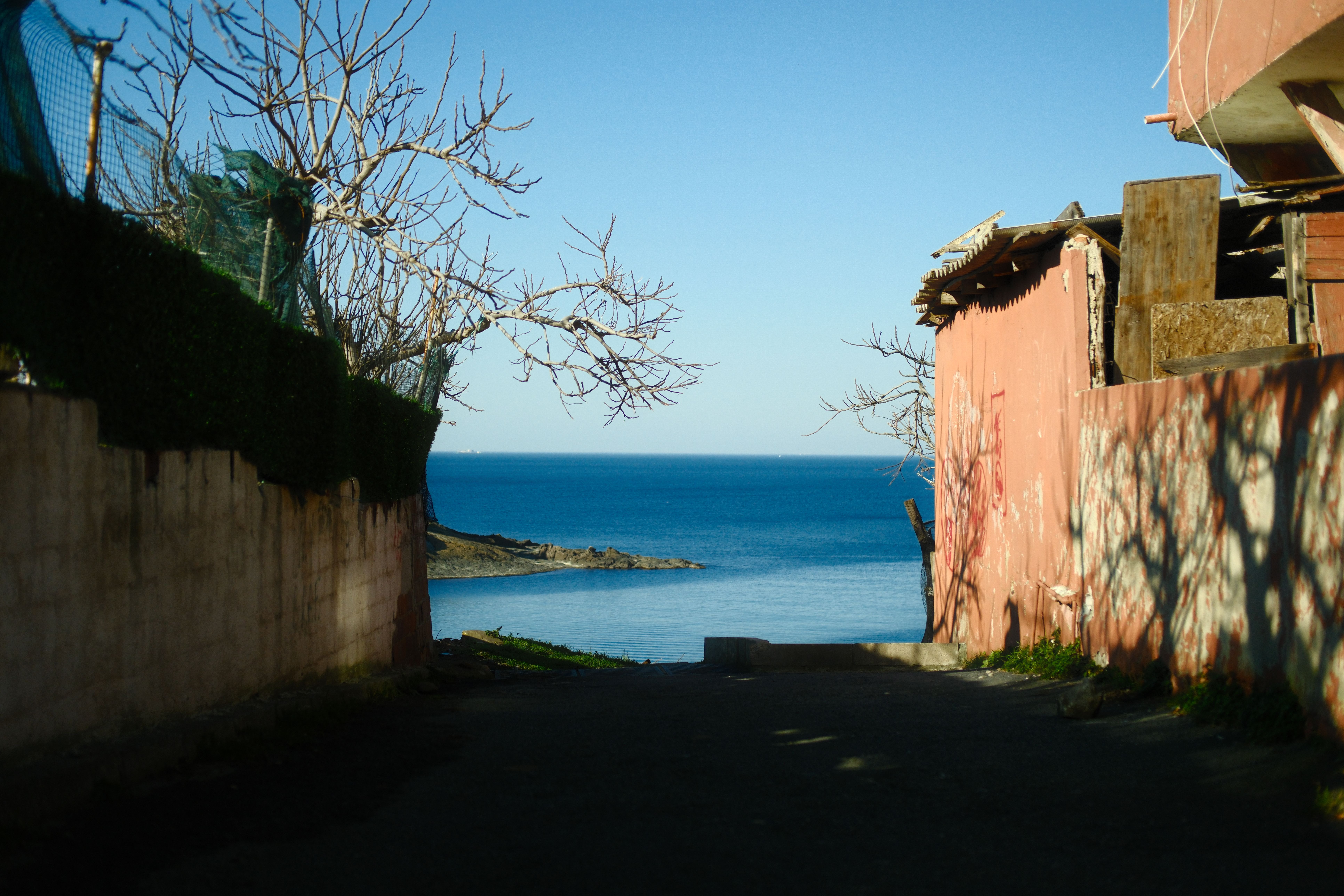 A serene coastal path with a clear view of the sea, framed by rustic walls and barren trees.