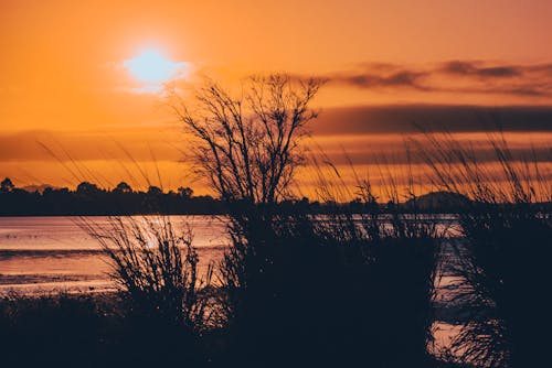 Kostenloses Stock Foto zu früher sonnenaufgang, küstengebiet, küstenlandschaft