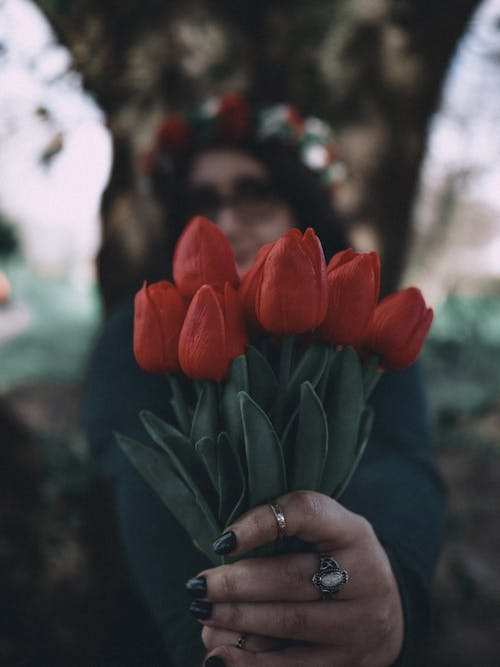 A person holding a bunch of red tulips