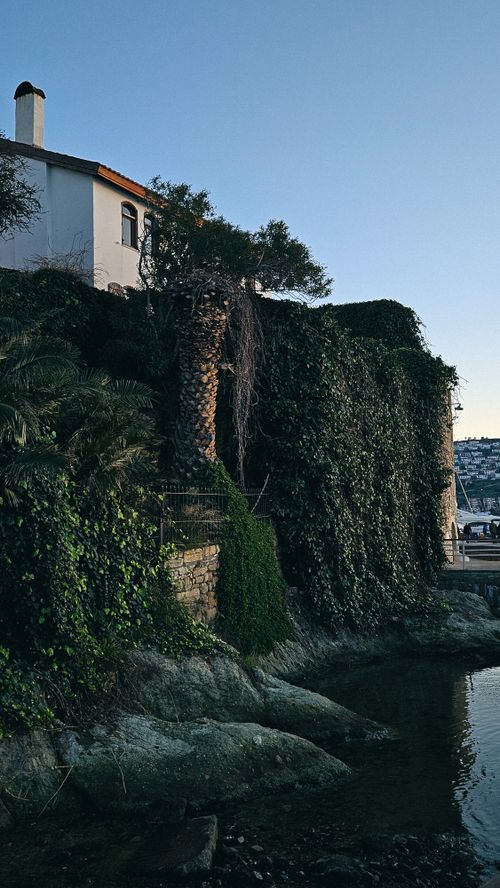Free A picturesque scene of a house with ivy-covered walls by a tranquil pond under a clear sky. Stock Photo