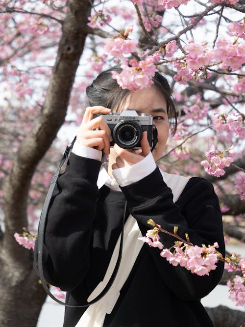 A woman taking a picture of a cherry blossom tree