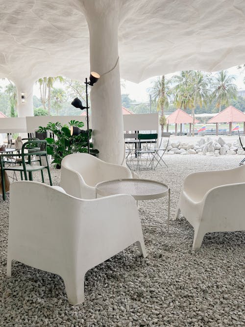 View of Chairs and Tables on a Patio with Palm Trees in the Background 