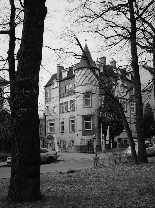 A black and white photo of a house in the woods