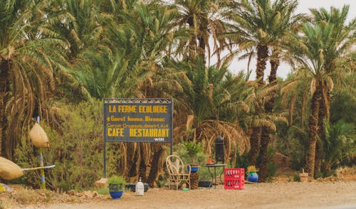 咖啡店, 招待所, 摩洛哥 的 免费素材图片