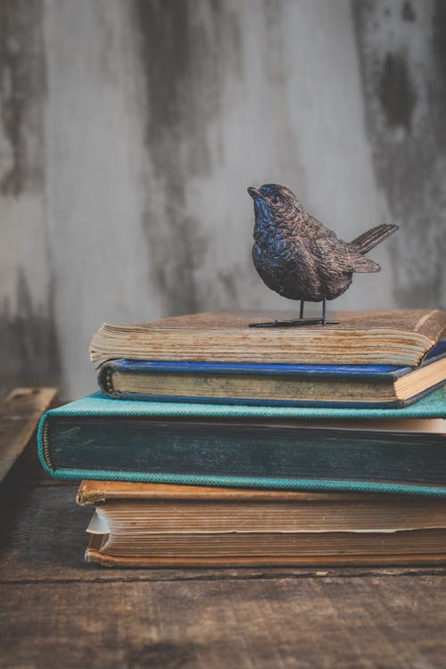 A bird sitting on top of a stack of books