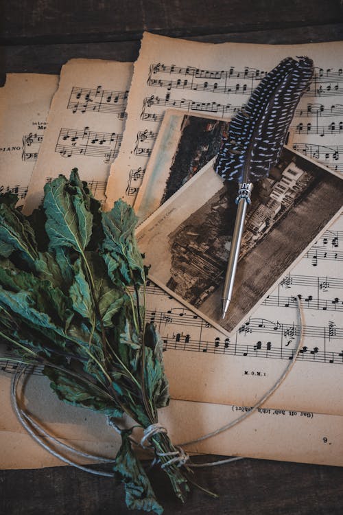 A book with music sheets and a feather