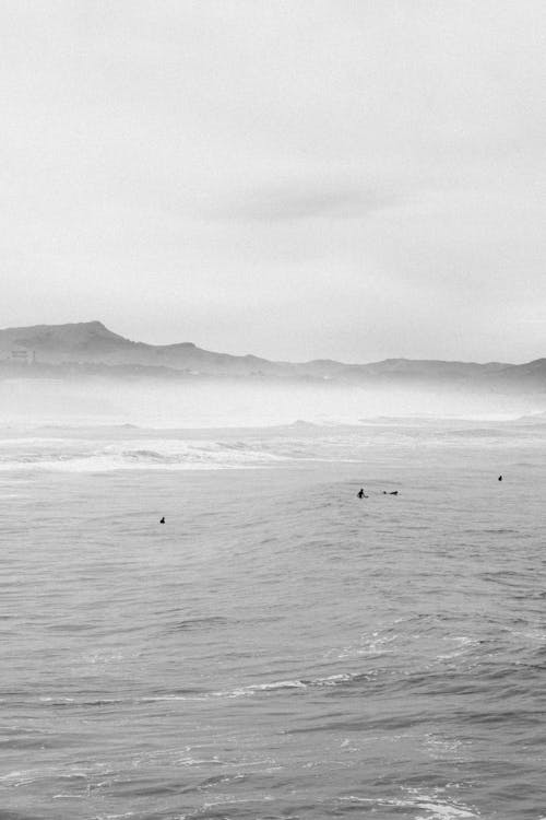 People Surfing on Sea Coast