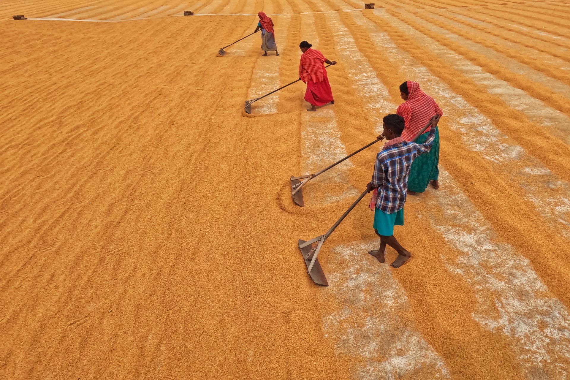 People Working on a Farm
