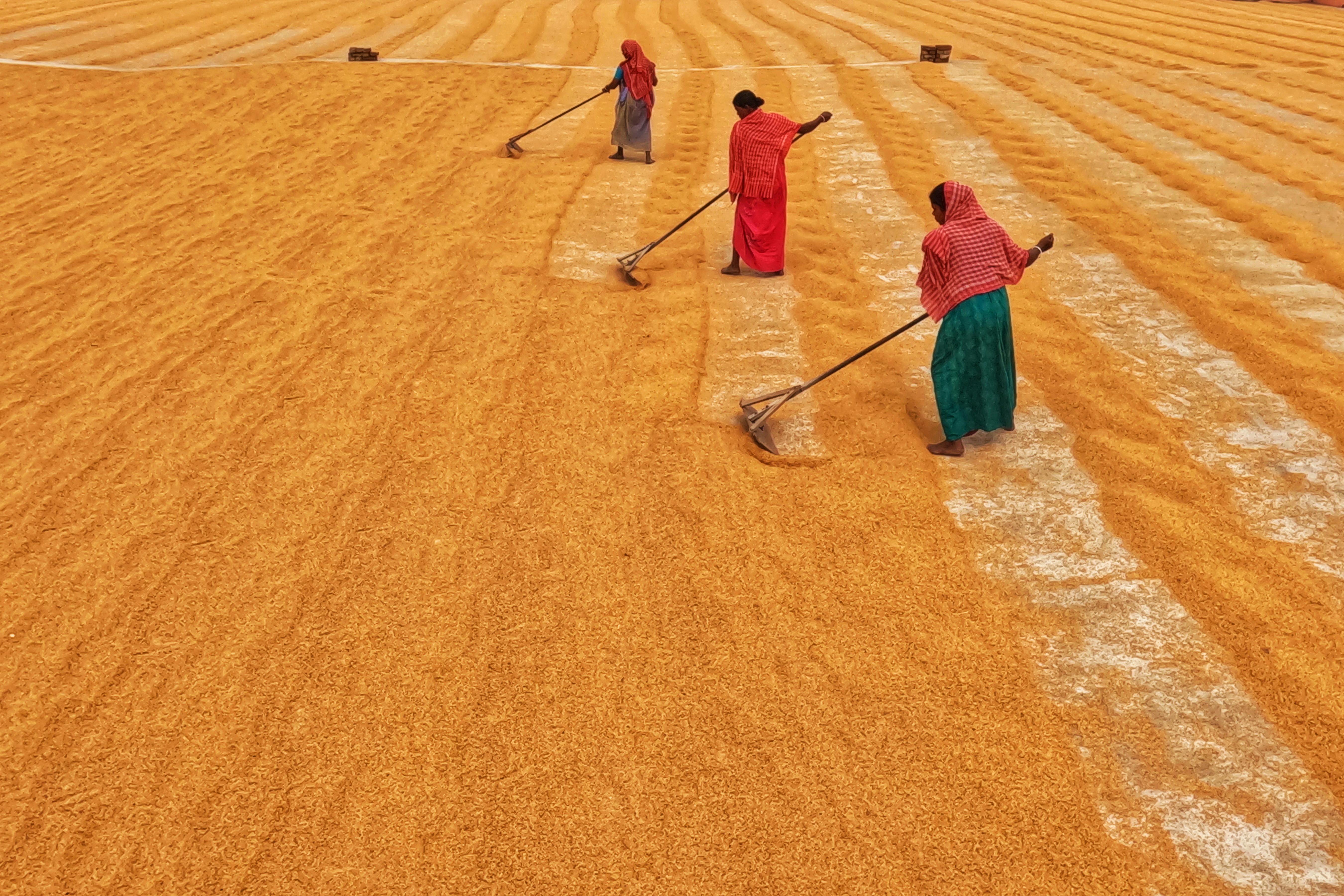 Background Journalism Background Photos Download The BEST Free