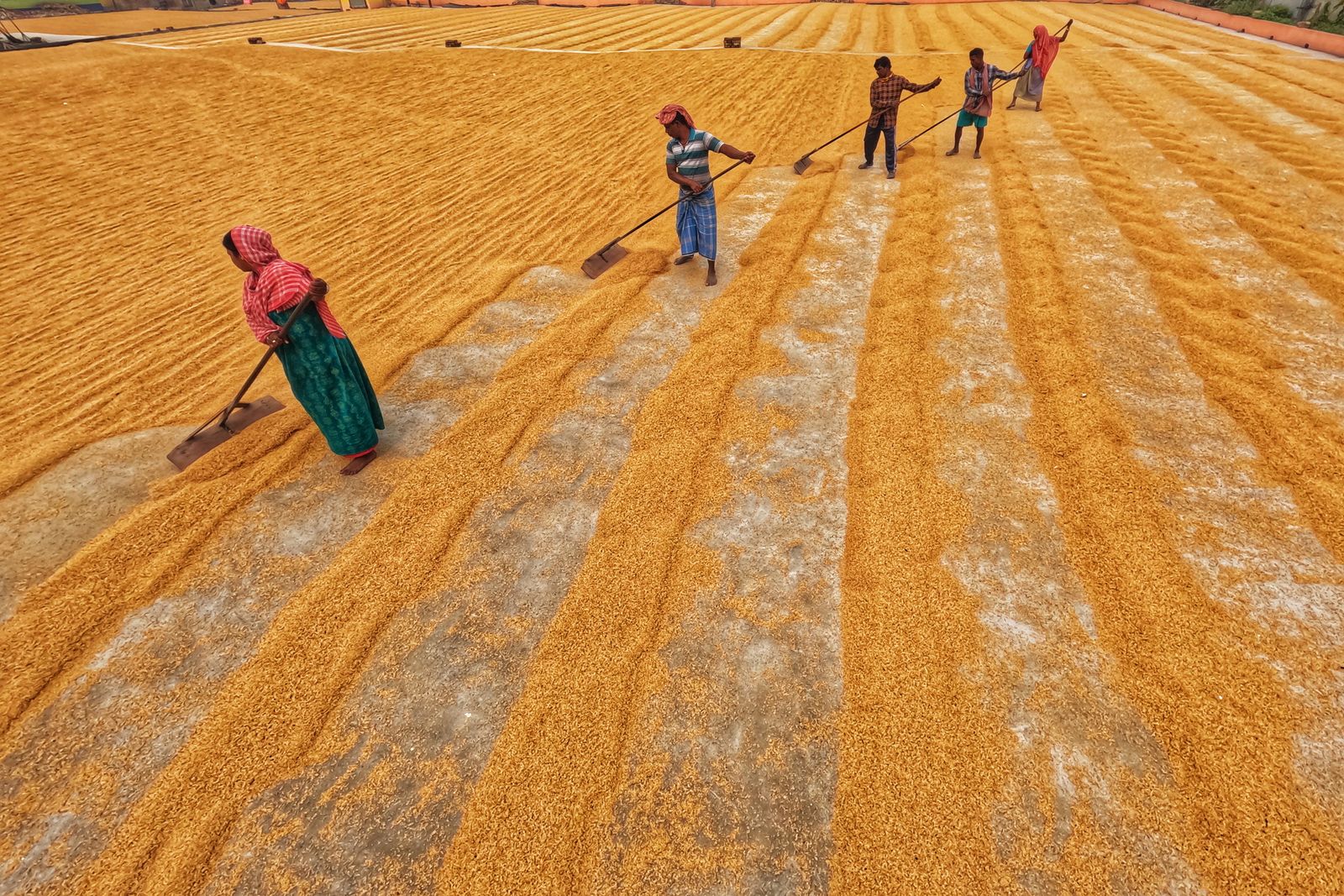 People Field Photos, Download The BEST Free People Field Stock Photos ...
