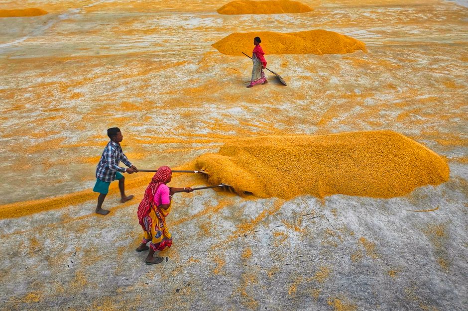 Rabi Sowing Scheme or possibly related central government subsidy