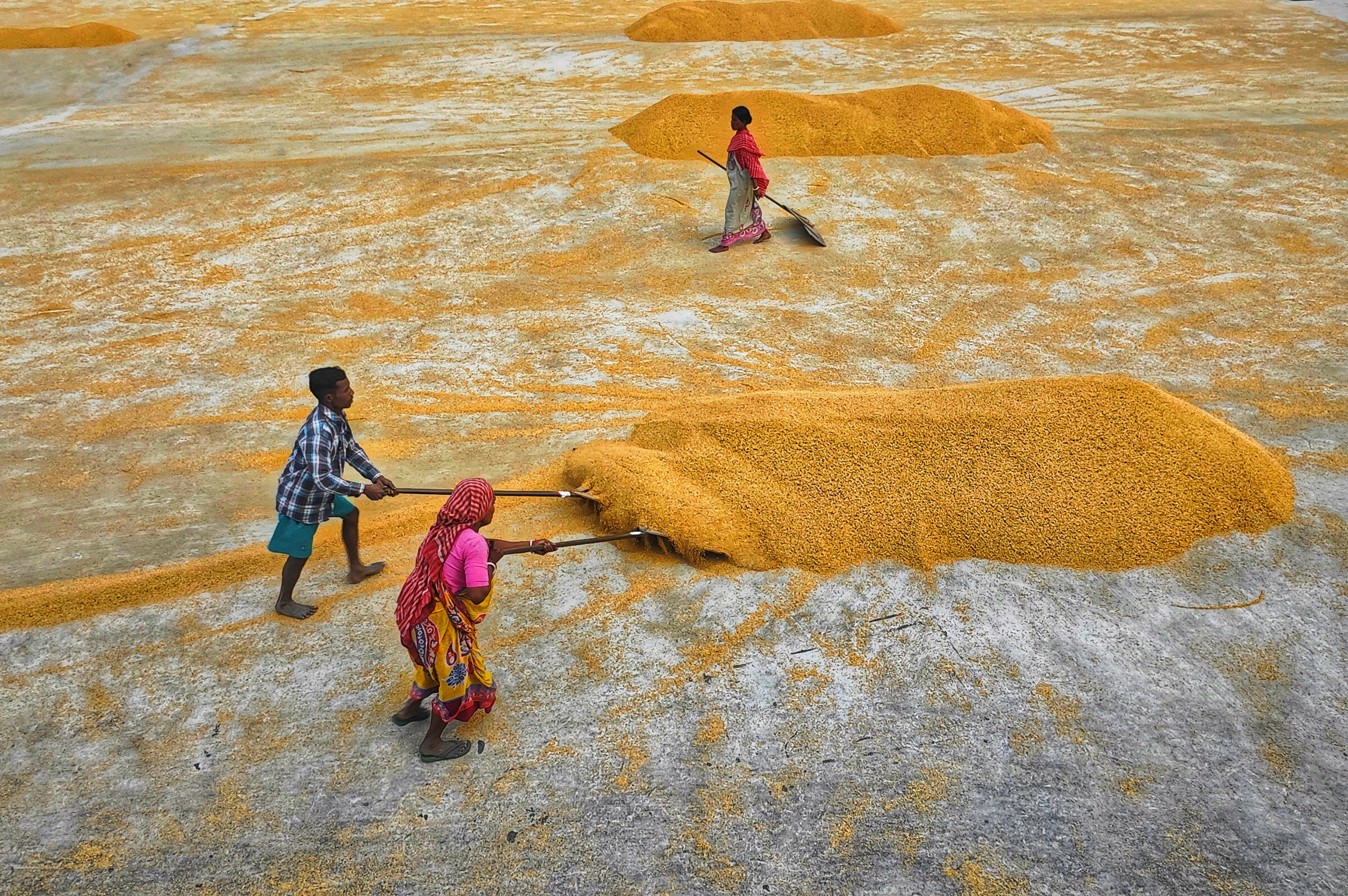 Rural group work 17. · Free Stock Photo