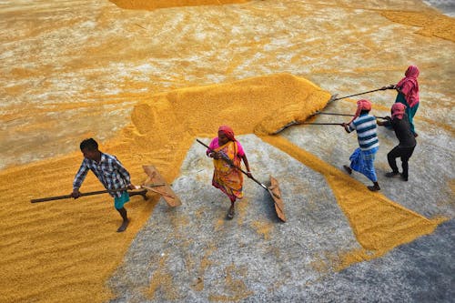 Farmers Working on Rural Field