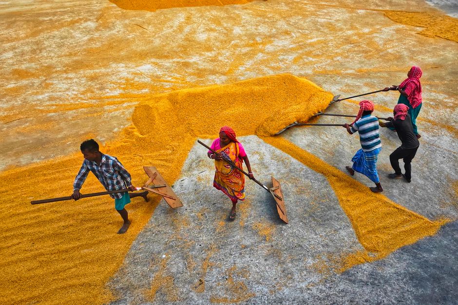 State Employment Scheme / Women's Wage Scheme
