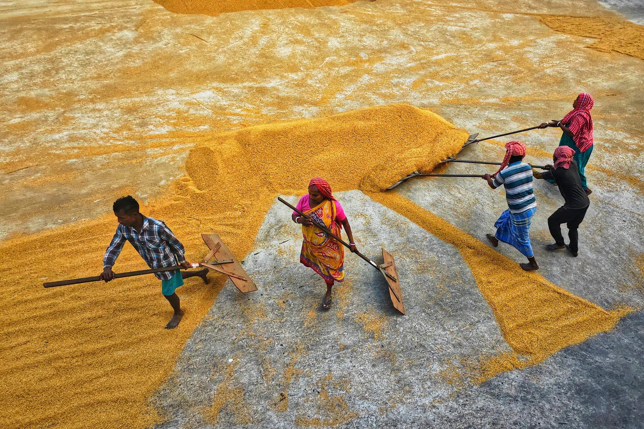 Rural group work 16. · Free Stock Photo