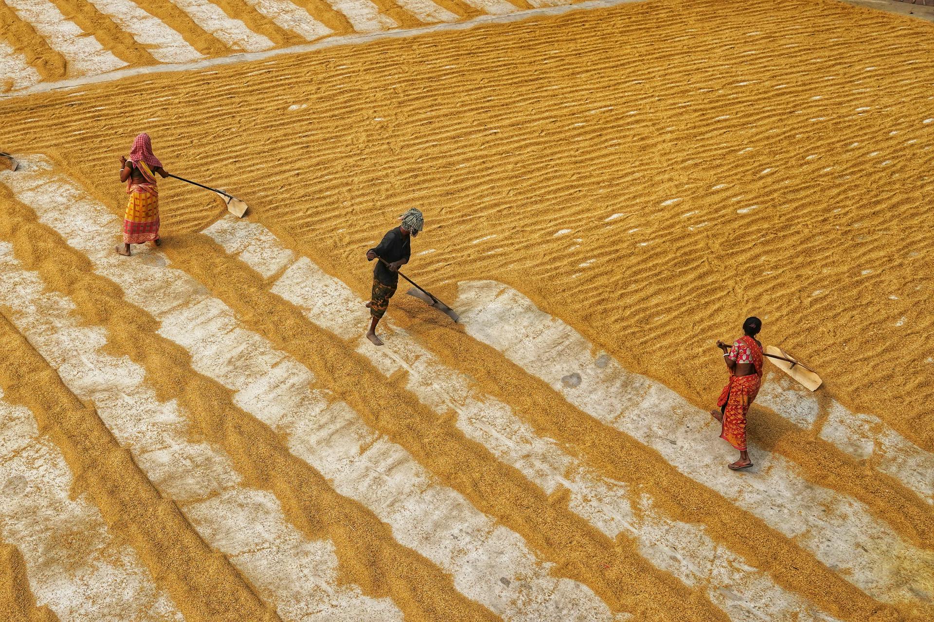 Farmers on Field