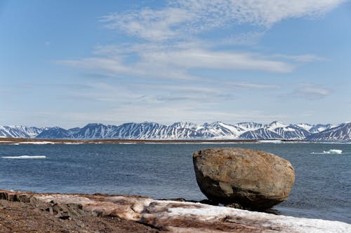 Бесплатное стоковое фото с берег, выборочный фокус, зима
