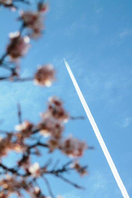 ケムトレイル, 垂直ショット, 春の無料の写真素材