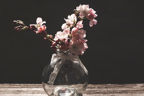 Flor De Pétalas Rosa No Vaso