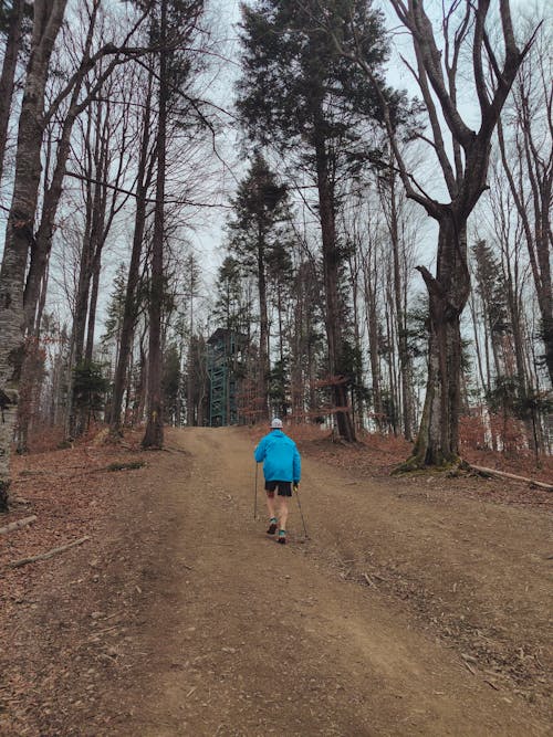 Man Hiking on Dirt Road in Forest