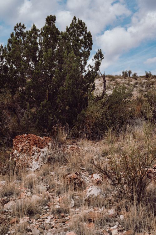 Free Discover the serene countryside with trees, bushes, and rocky terrain under a cloudy sky. Stock Photo