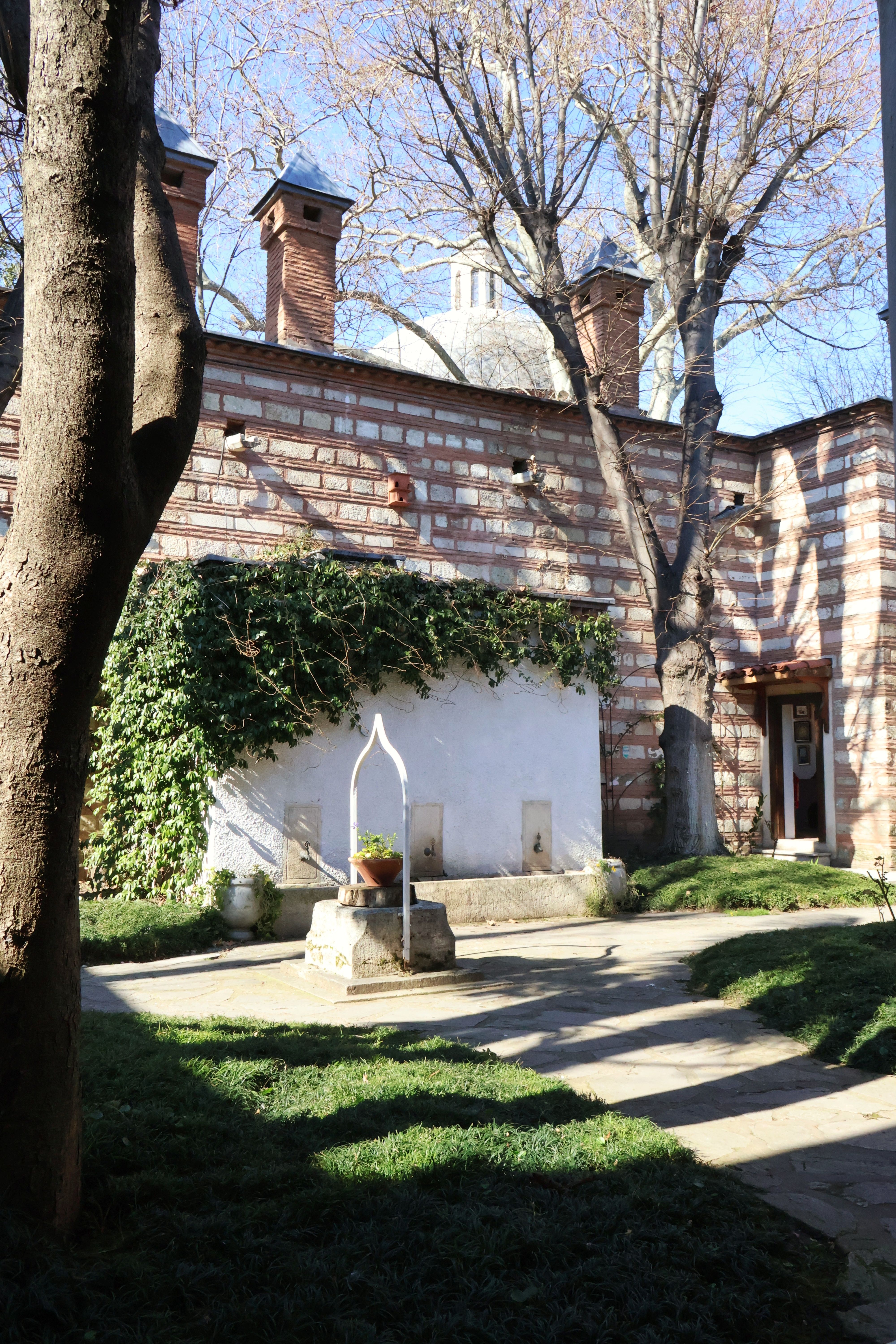 Peaceful courtyard scene with ivy and fountain in Istanbul's Mehmet Efendi Medresesi.