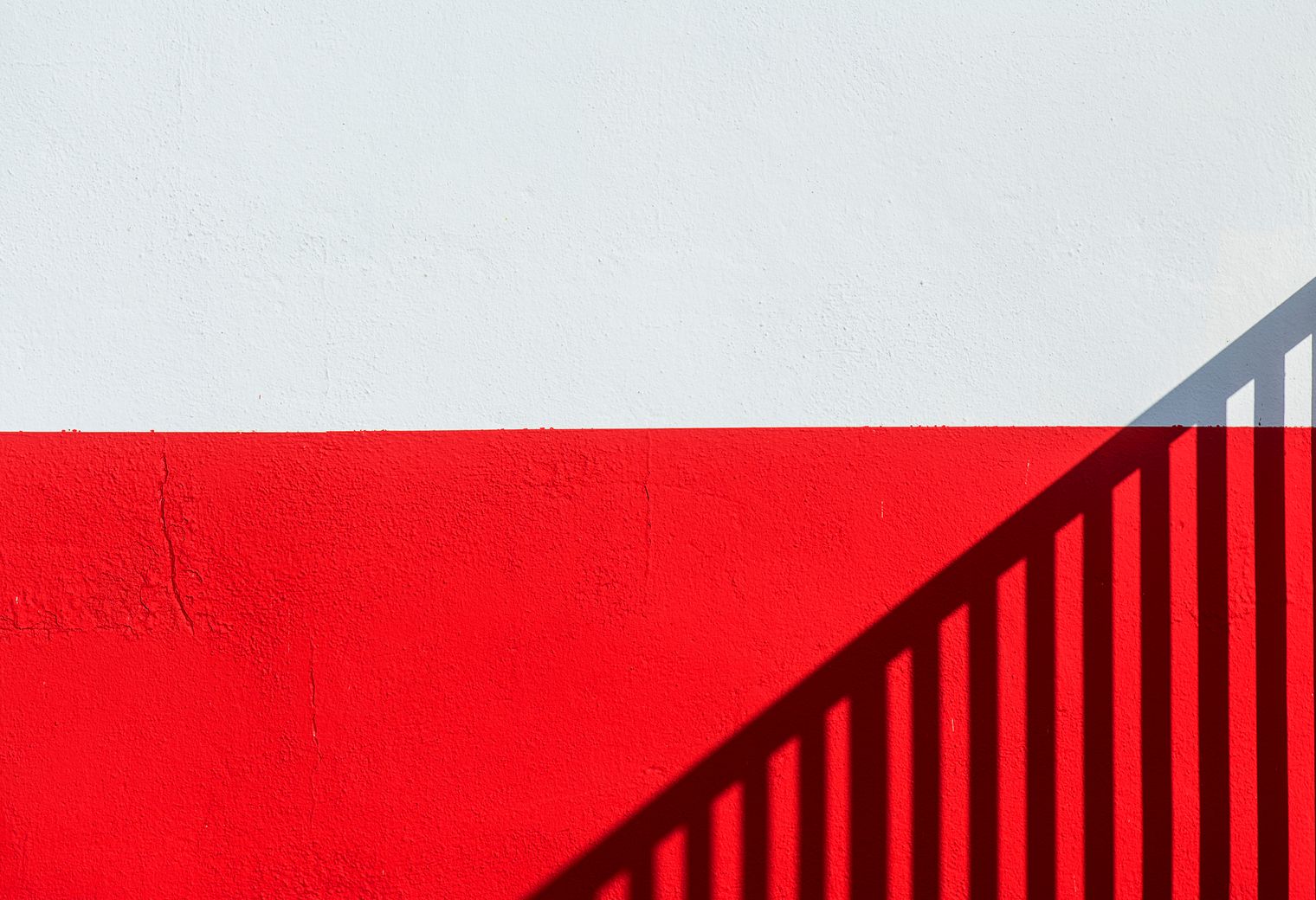 Fence and Decking Painting in Clerkenwell — a decorator at work mid-project