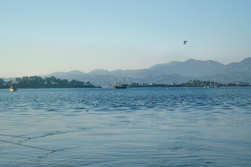 A person flying a kite in the water near mountains