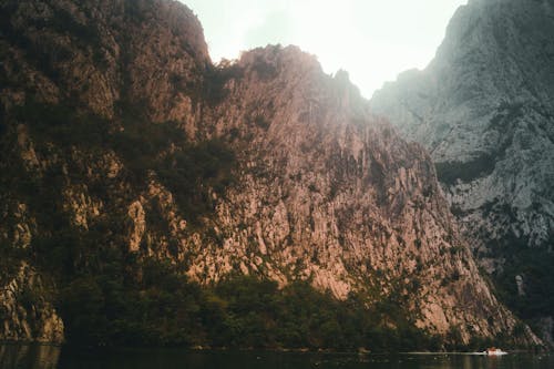 Foto profissional grátis de árvores, cenário, corroído