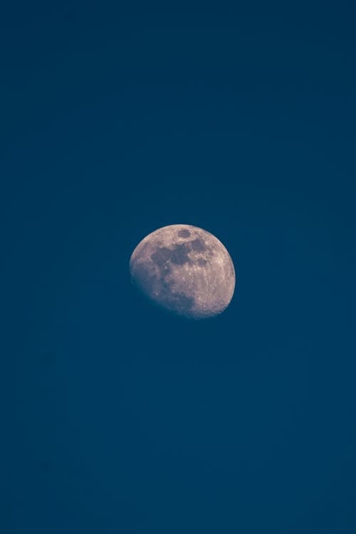 Základová fotografie zdarma na téma krajina, luna, měsíc