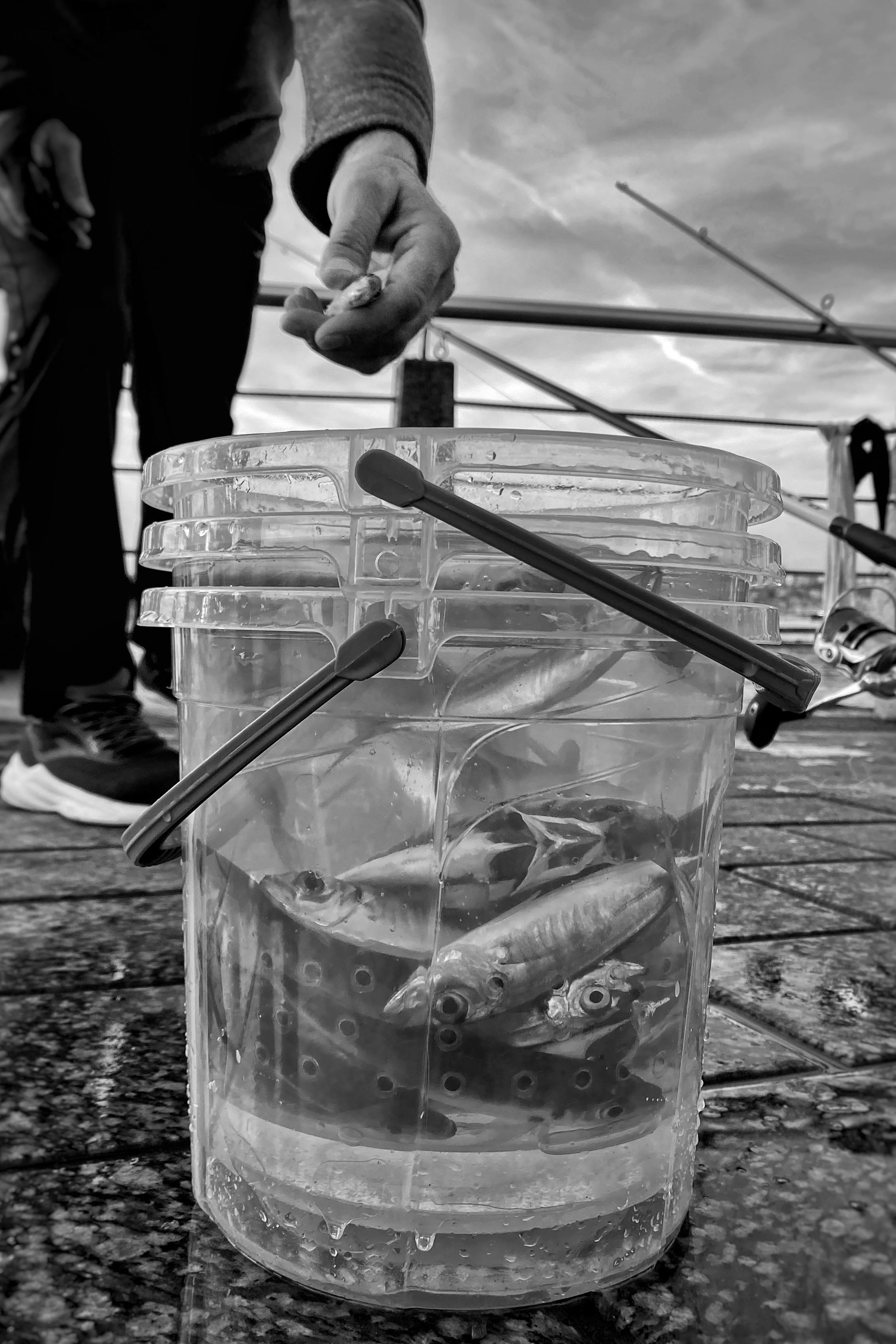 Man Throwing Bucket Of Water Photos, Download The BEST Free Man Throwing Bucket Of Water Stock