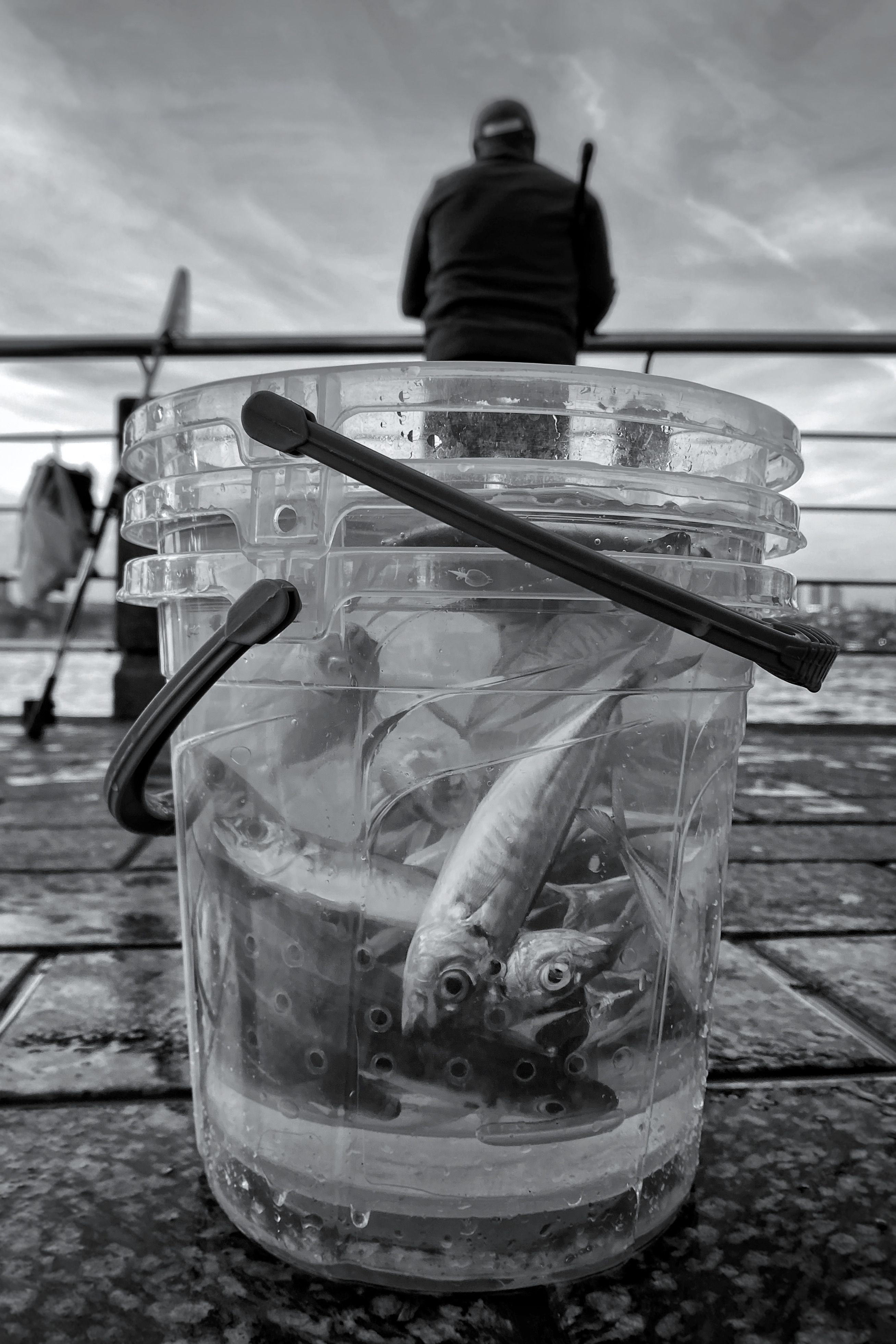 A bucket of fish on a pavement with an urban fishing backdrop in black and white.