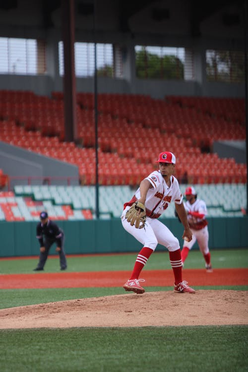 Pitcher in Baseball Match