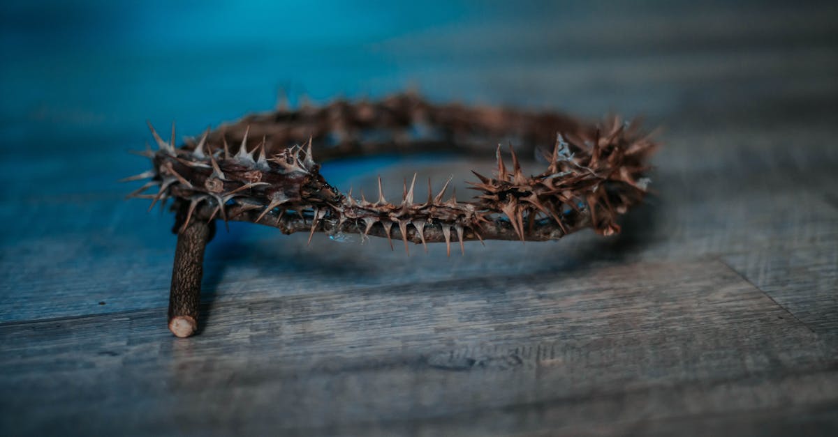 Did the Widow’s Offering Inspire Christian Sacrifice? Discover the Shocking Truth Did the Widow’s Offering Inspire Christian Sacrifice? Discover the Shocking Truth