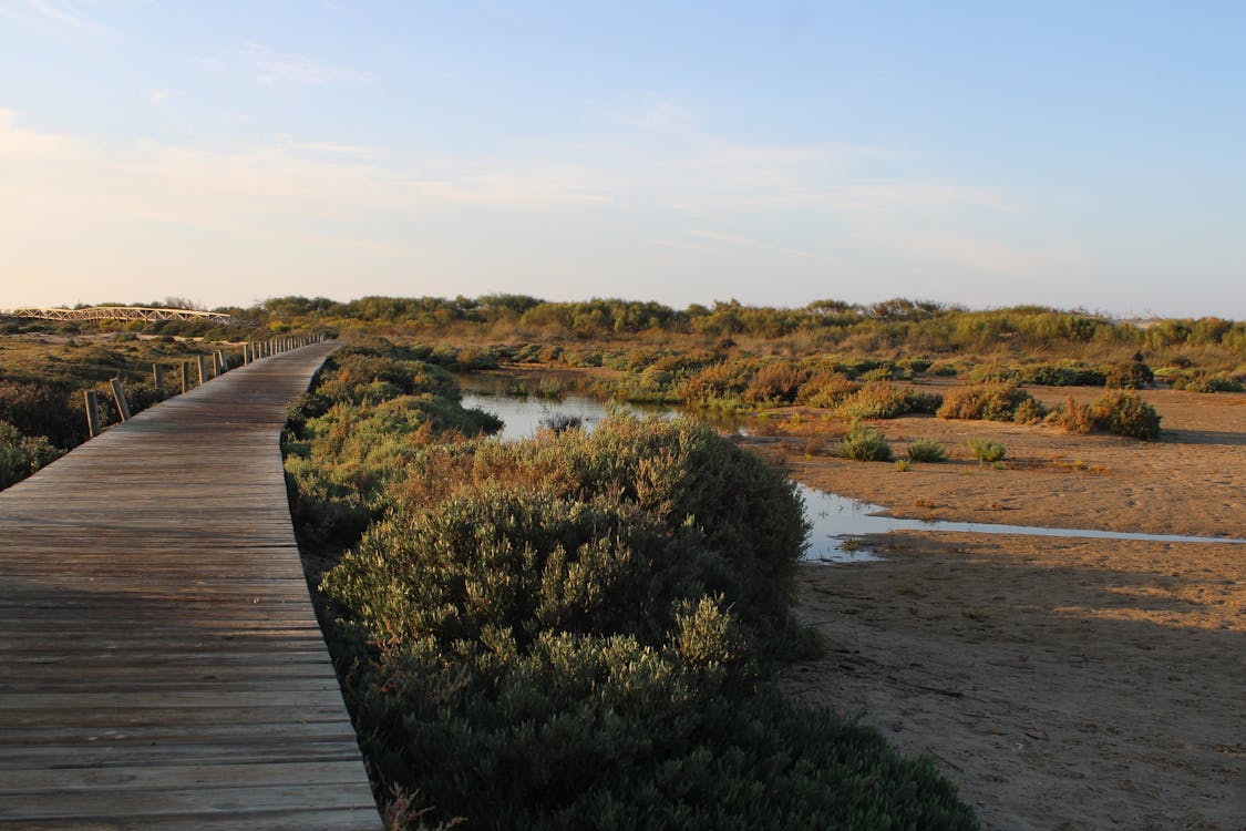 sendero del boquerón - fotografía 8