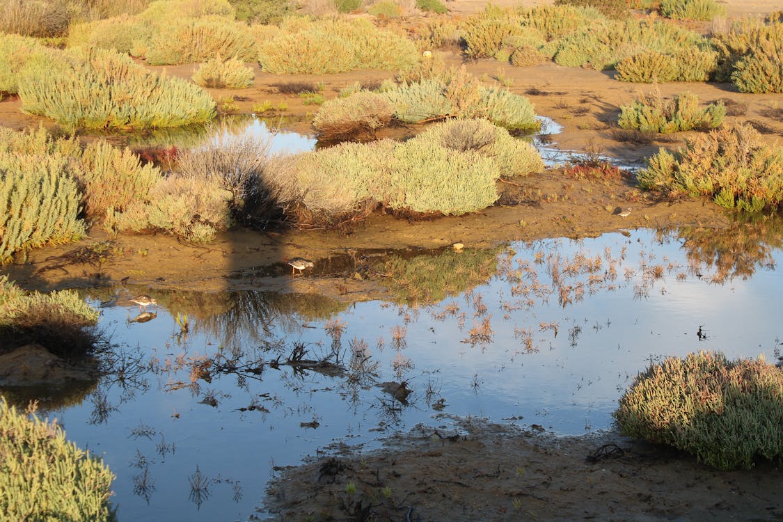 sendero del boquerón - fotografía 7