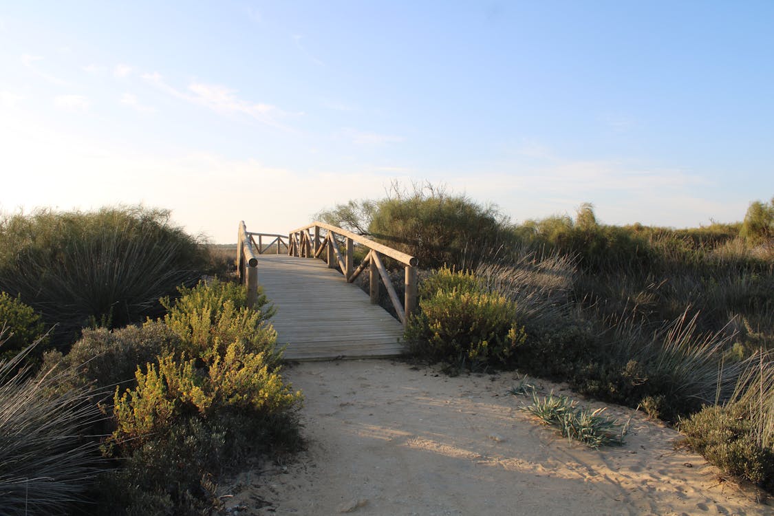 sendero del boquerón - fotografía 9