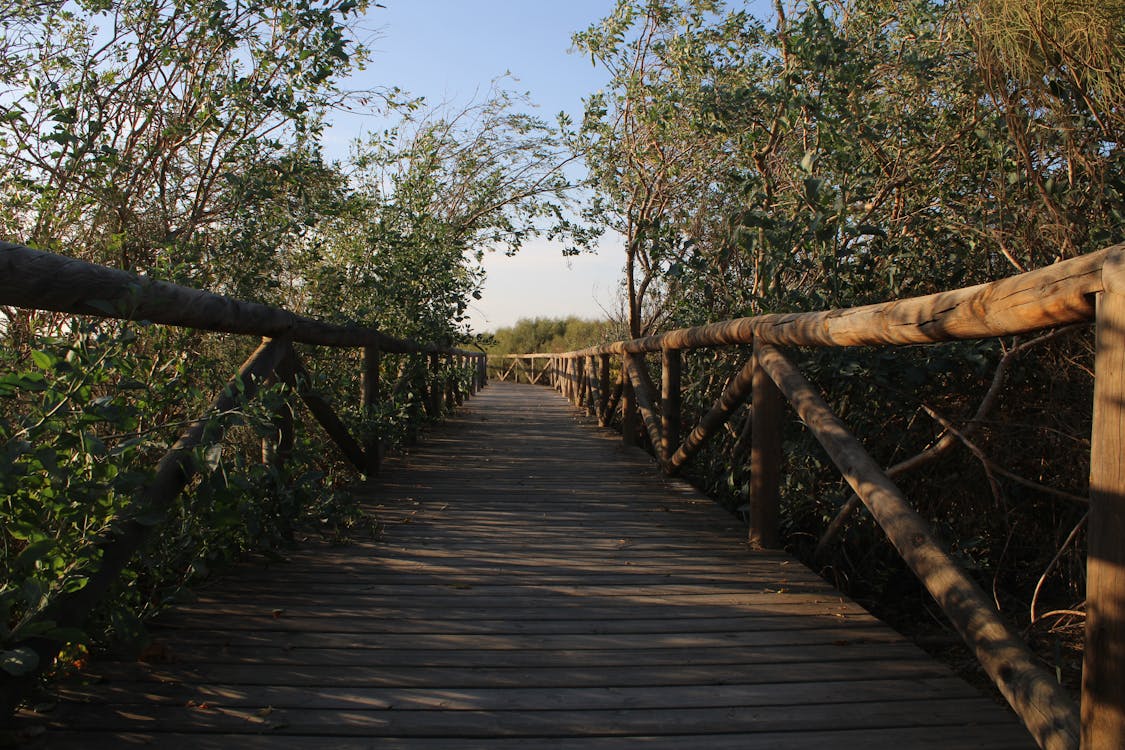 sendero del boquerón - fotografía 11