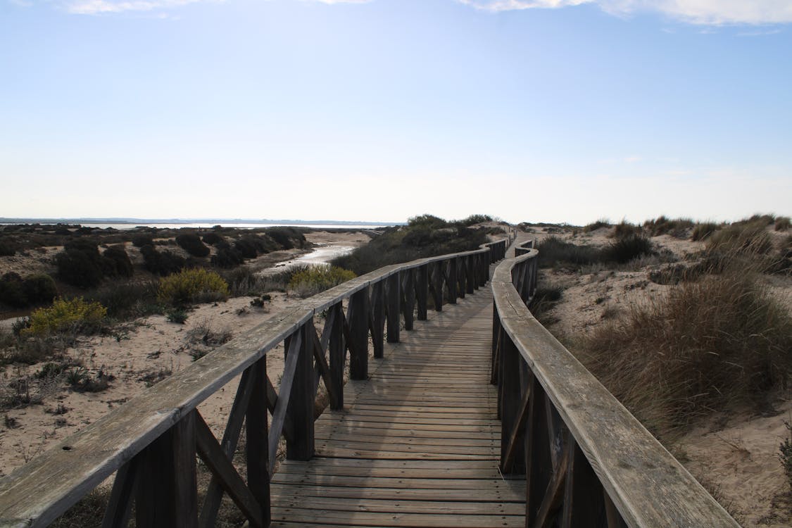 sendero del boquerón - fotografía 12