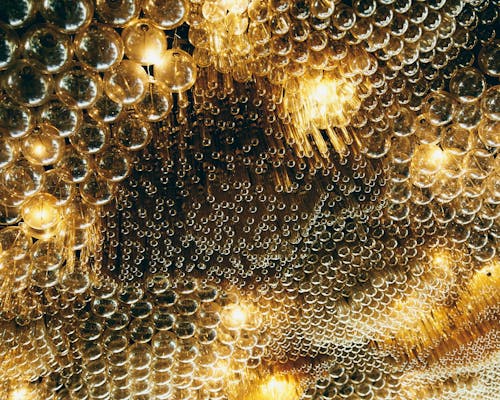 Free stock photo of honeycomb, jackalope, mornington peninsula