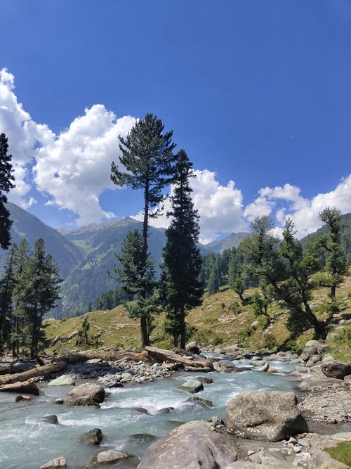 Free Beautiful mountain landscape featuring a flowing stream under a clear blue sky. Stock Photo