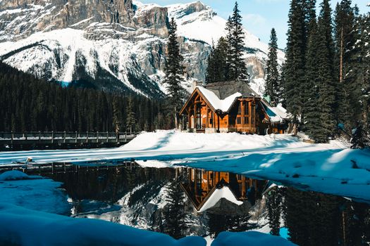 A cozy log cabin surrounded by snowy wilderness in Field, BC, Canada.