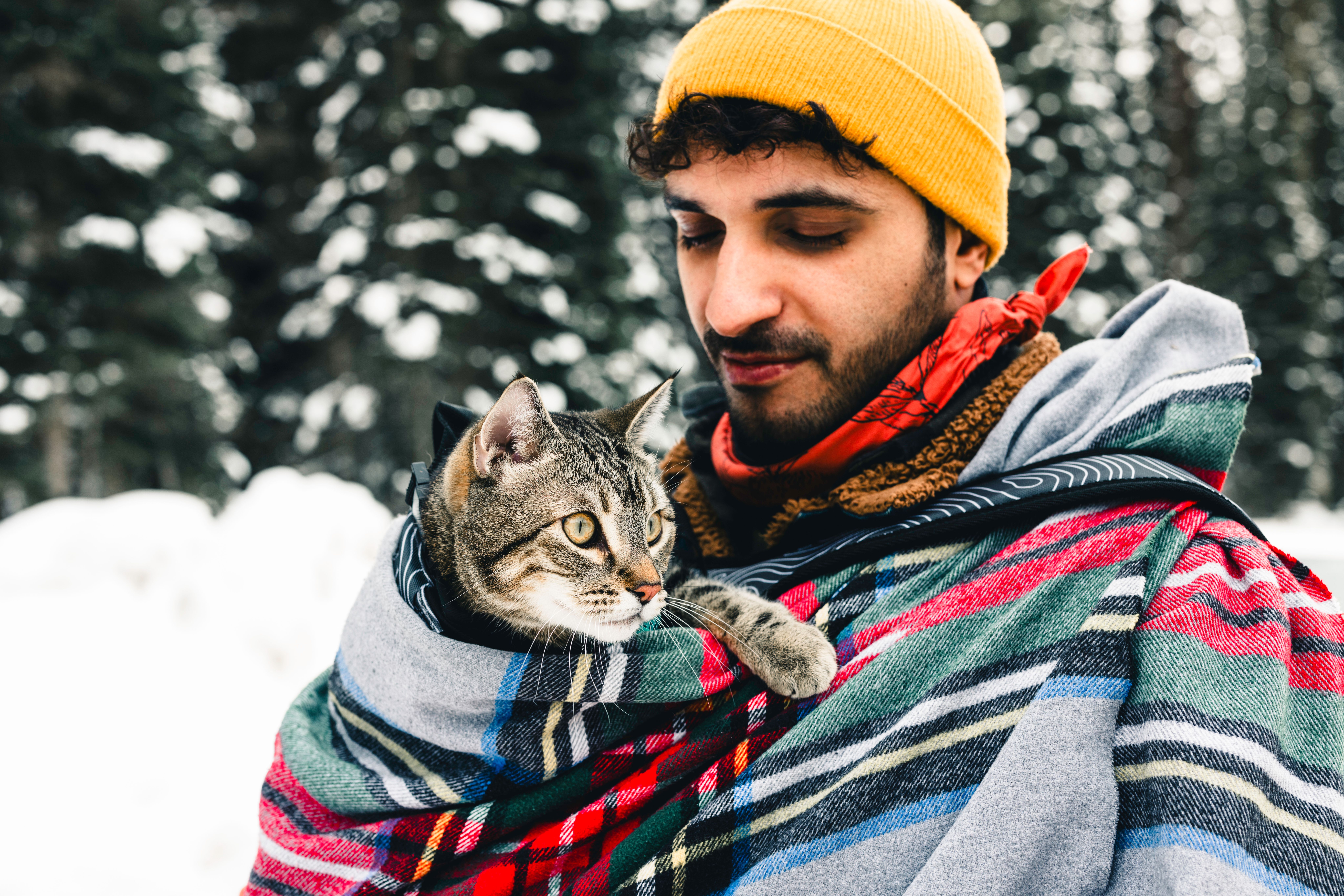Man in a yellow hat holding a tabby cat wrapped in a plaid blanket across his chest, only the cat's head and one paw showing