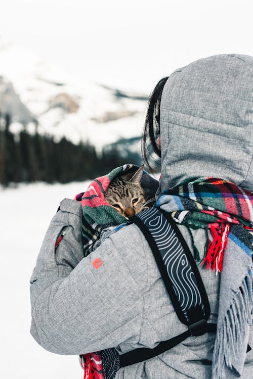 Is Canada Pet Care Legit Photos, Download The BEST Free Is Canada