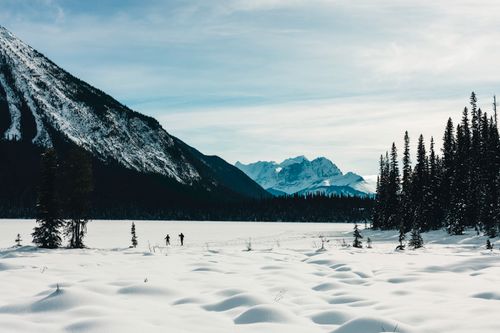 Free Snowy mountain landscape with trees and distant hikers in Field, BC, Canada. Stock Photo