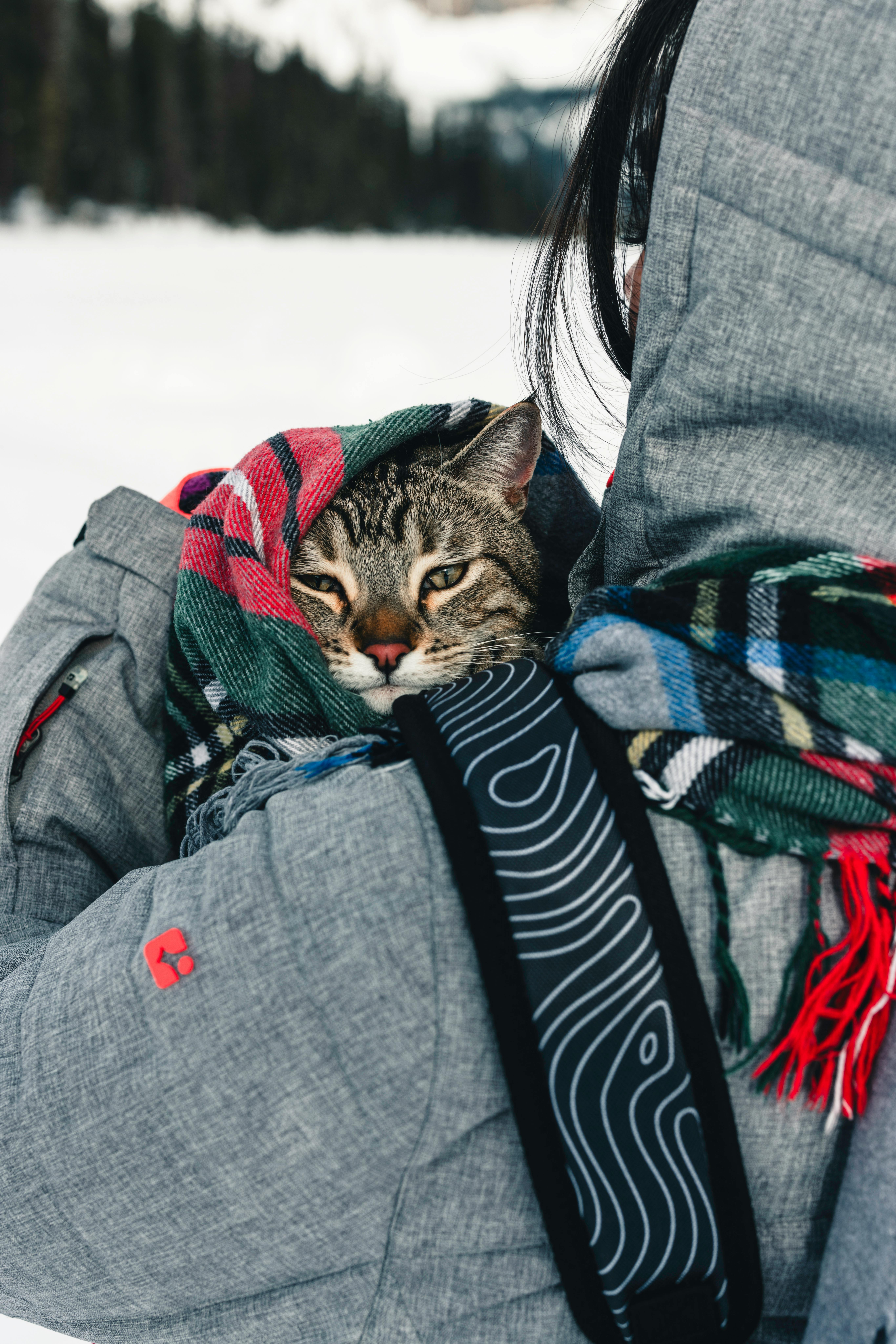 Luca's first hike was a loop around Emerald Lake in Yoho National Park