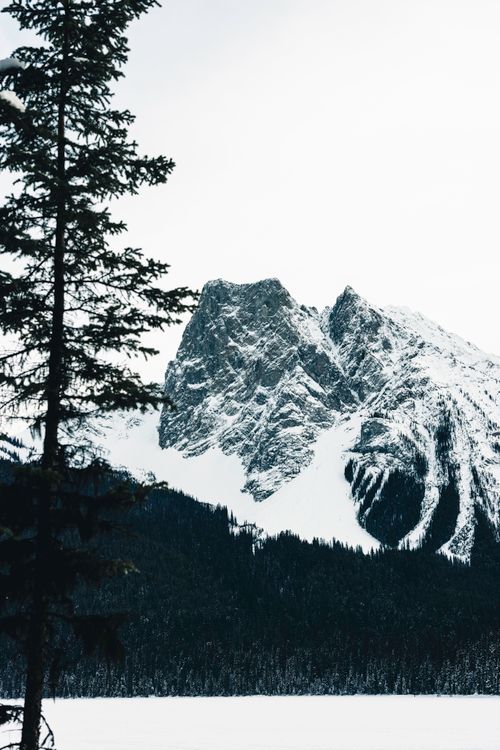 Free Stunning snowy mountain landscape in Field, BC, Canada, perfect for winter adventure photography. Stock Photo
