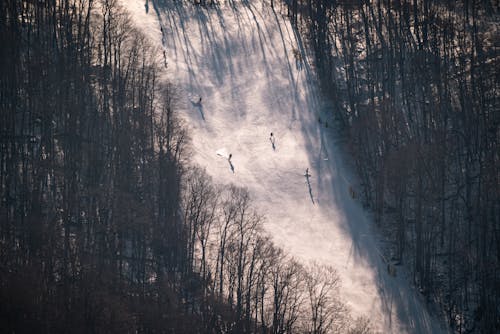 Foto stok gratis bermain ski, curam, gunung