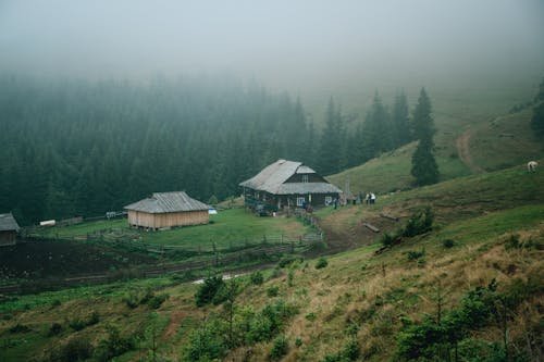 Foto stok gratis Desa, gunung, hutan